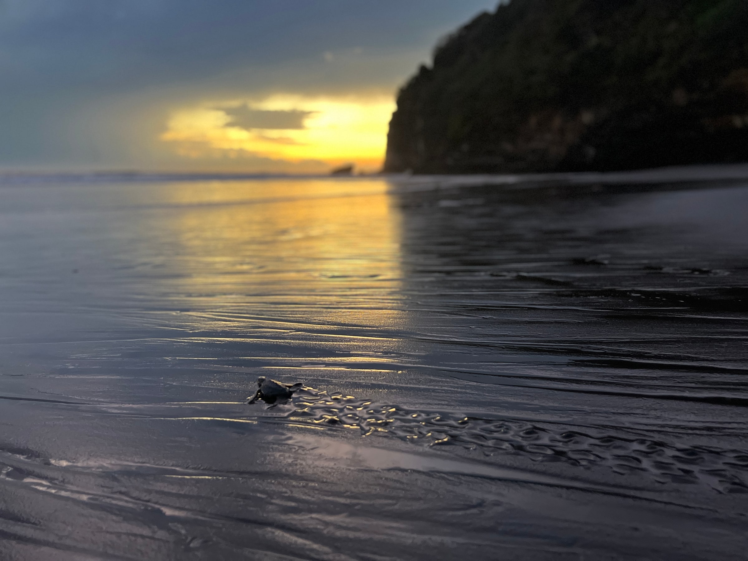 A quiet beach at sunset